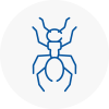 Ant Removals In Poole