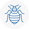 Bed Bug Extermination In Poole