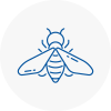Bee Nest Removal Poole