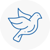 Bird Prevention Poole