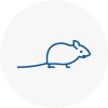 Mice Exterminators In Poole