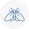 Moth Control Specialists In Poole